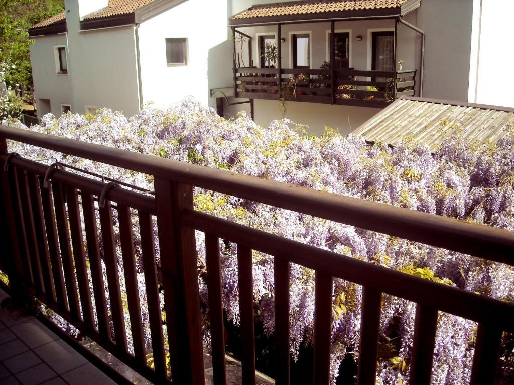 Hotel Faedo Pineta Bilik gambar