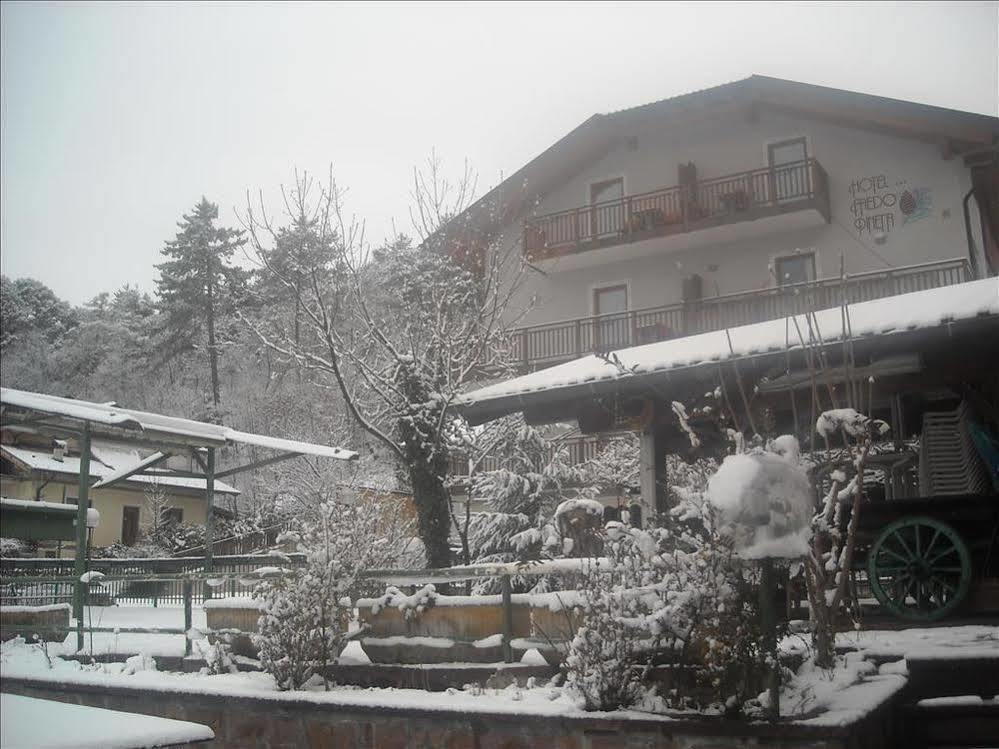 Hotel Faedo Pineta Luaran gambar